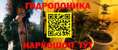 СК Краснознаменск