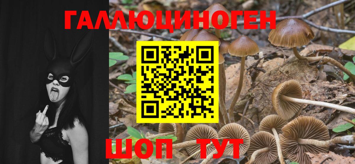 Железногорск  Псилоцибиновые грибы ЛСД  Вход с VPN 